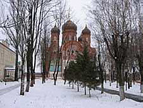 Купола Крестовоздвиженского монастыря